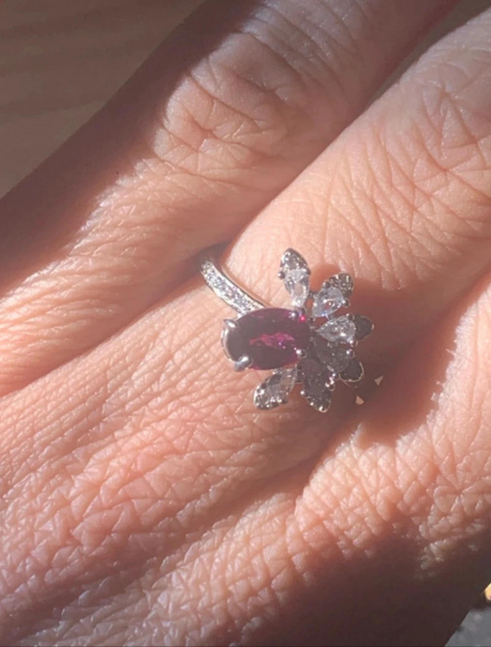 Rodolietring – photo 8